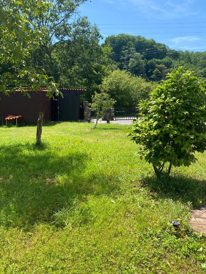 Casa Rural Laurenea Otsango Auzoa Eksteriør billede